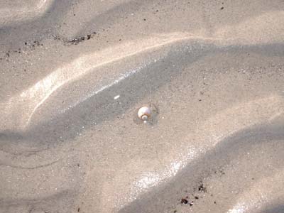 BeachDay_(06-17-2003)_006