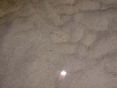 BeachDay_(06-17-2003)_018