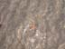 BeachDay_(06-17-2003)_015